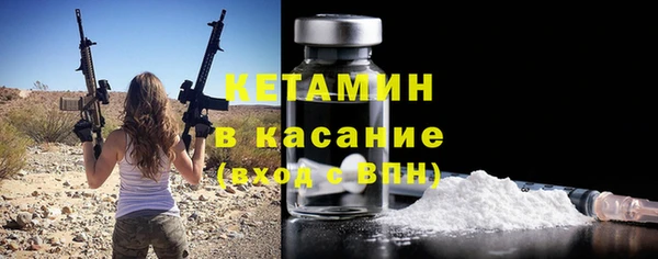 прущие грибы Абаза