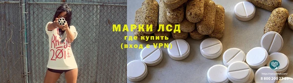прущие грибы Абаза