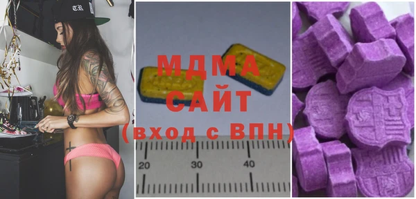 гашик Алексин