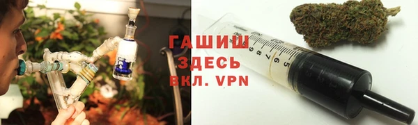 прущие грибы Абаза
