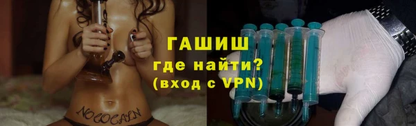 спайс Корсаков